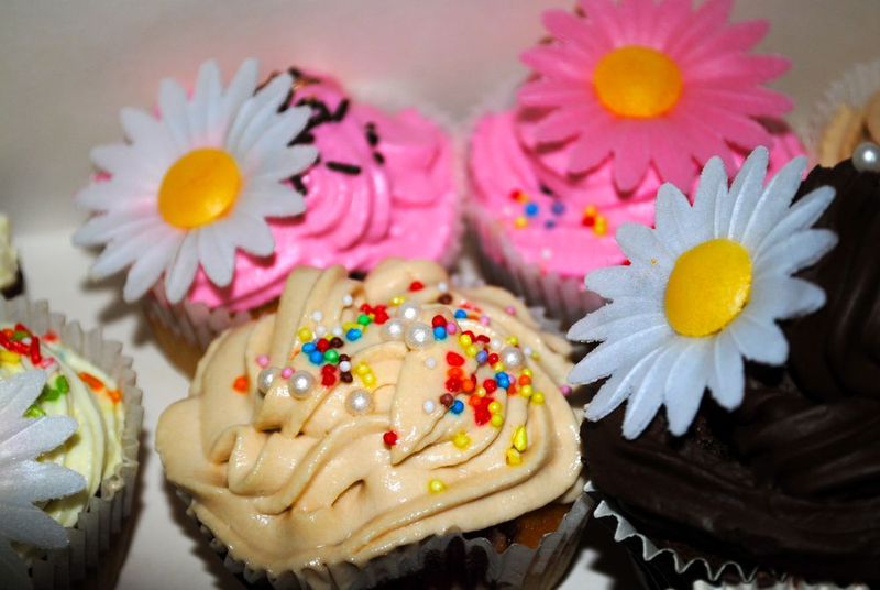 Cupcakes14