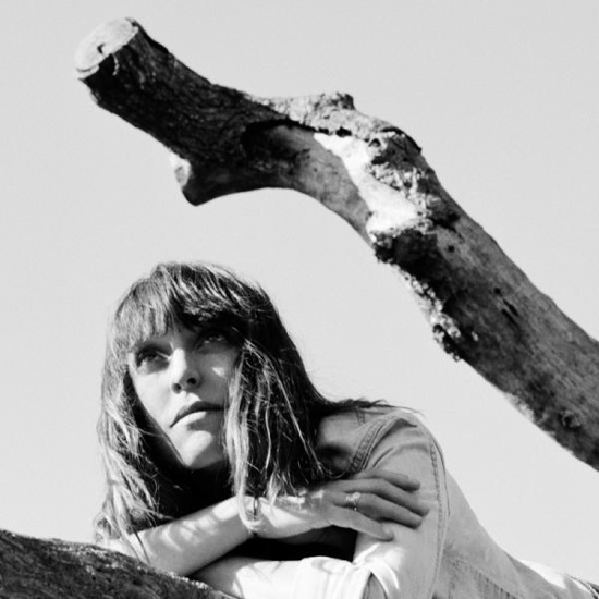 Feist-metals