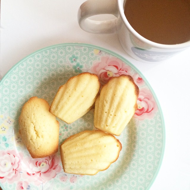 madeleines